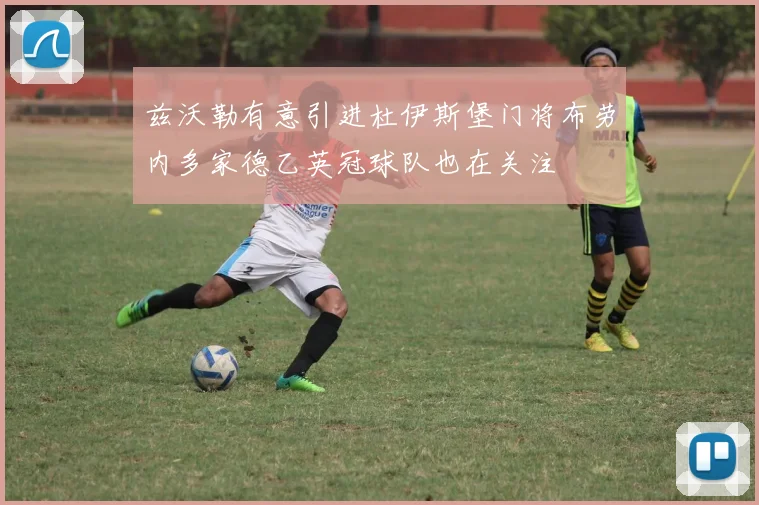 兹沃勒有意引进杜伊斯堡门将布劳内多家德乙英冠球队也在关注