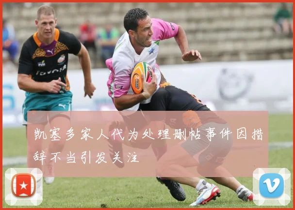 凯塞多家人代为处理删帖事件因措辞不当引发关注
