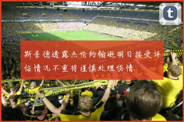 斯奈德透露杰伦约翰逊明日接受评估情况不重将谨慎处理伤情