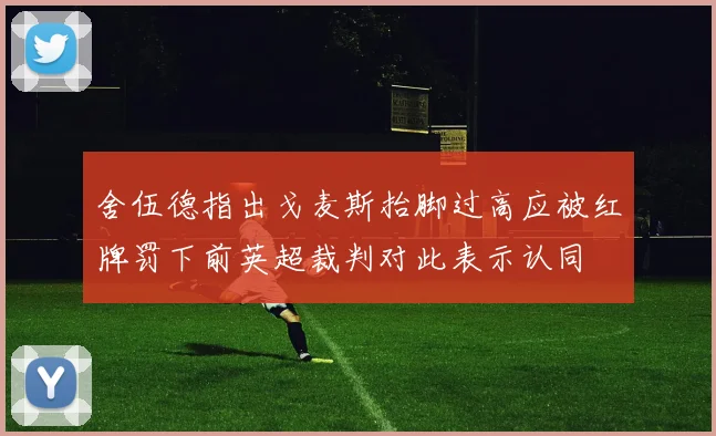 舍伍德指出戈麦斯抬脚过高应被红牌罚下前英超裁判对此表示认同